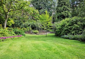 Optimiser l'expérience du jardin à Marlenheim